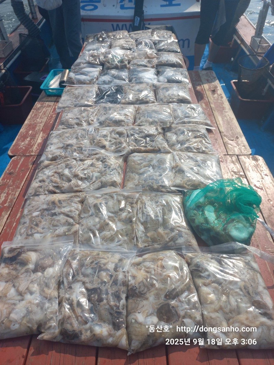 222bf5a13f0008d37fa16666920e76b3_1758190