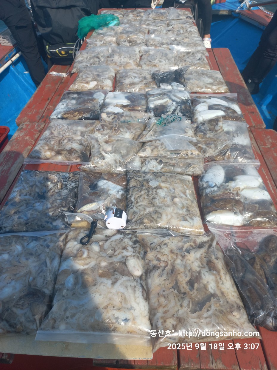 222bf5a13f0008d37fa16666920e76b3_1758190