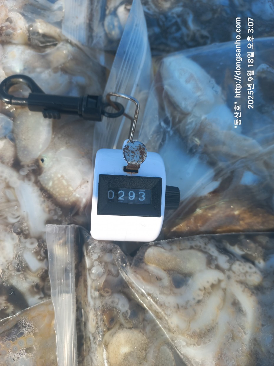 222bf5a13f0008d37fa16666920e76b3_1758190