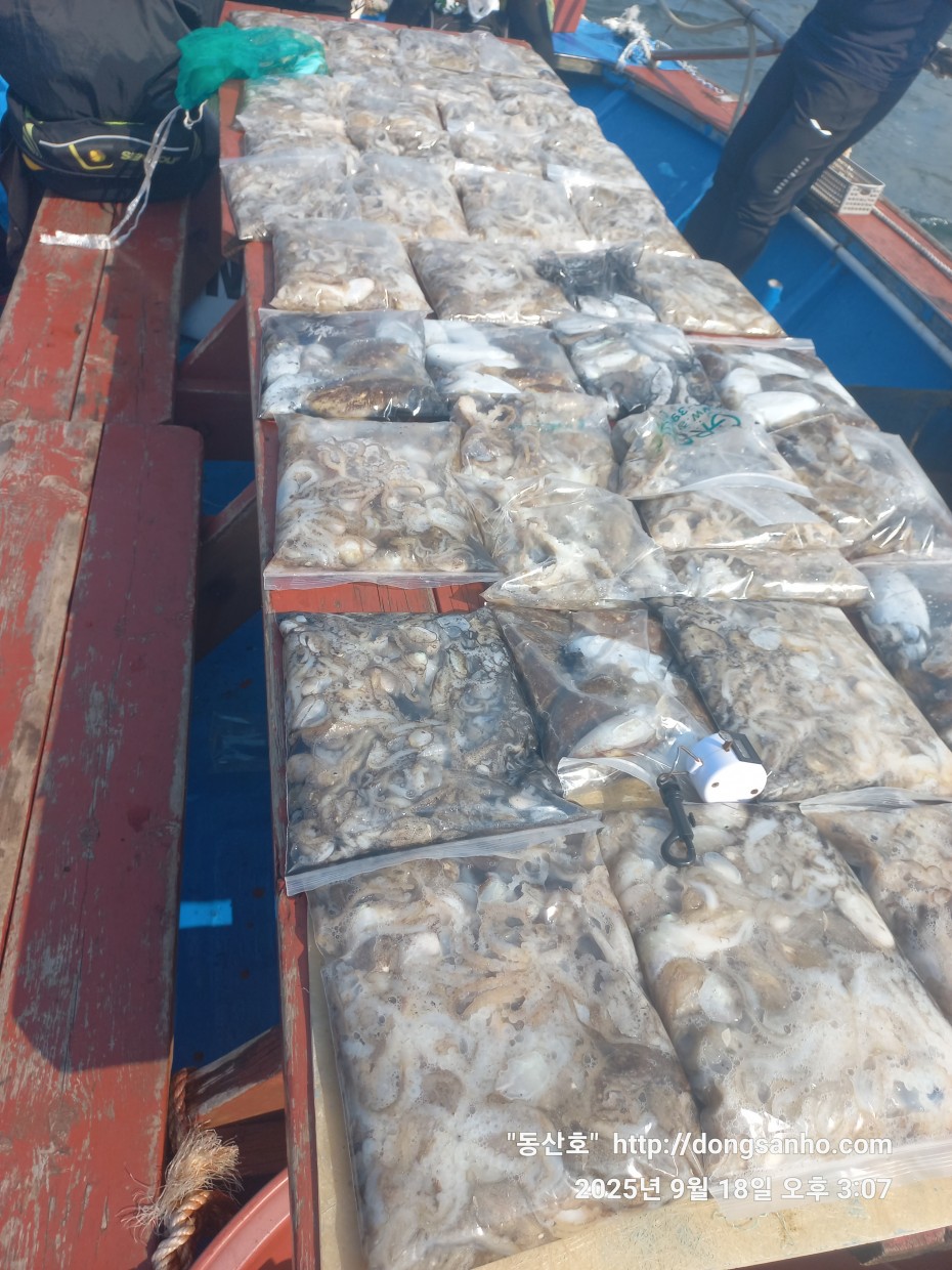 222bf5a13f0008d37fa16666920e76b3_1758190