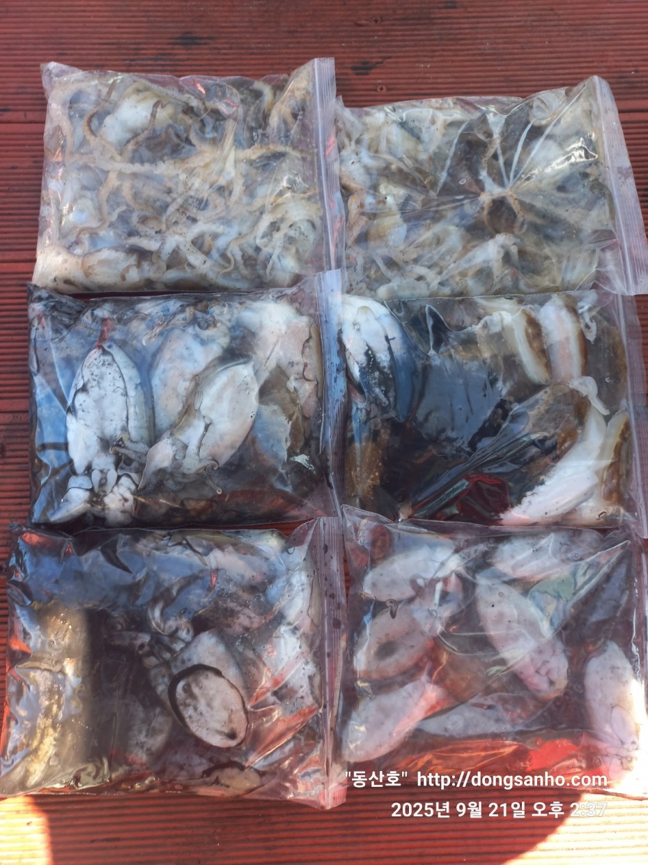 33e22732ecc986649dae1f42ecf20575_1758493