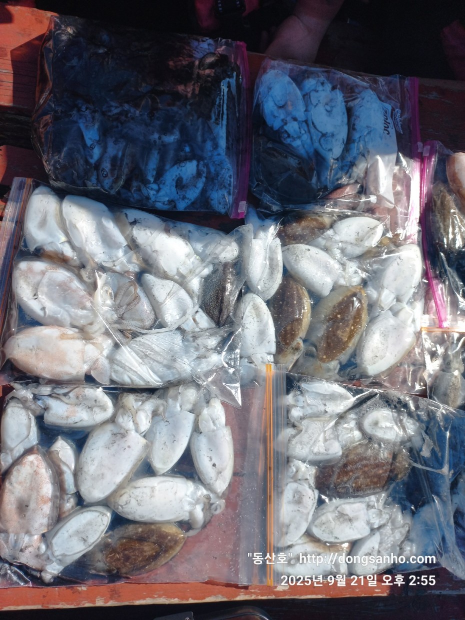 33e22732ecc986649dae1f42ecf20575_1758493