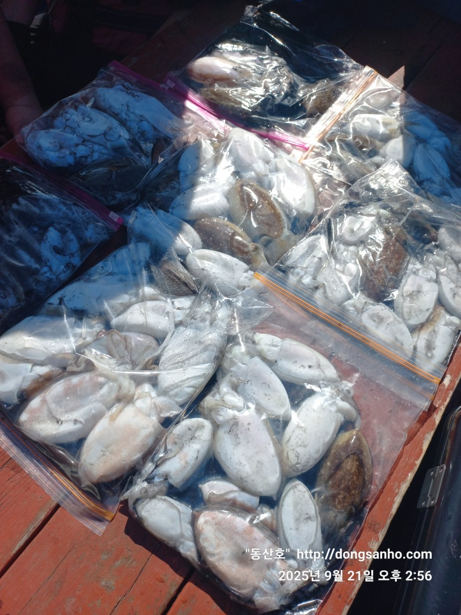 33e22732ecc986649dae1f42ecf20575_1758493