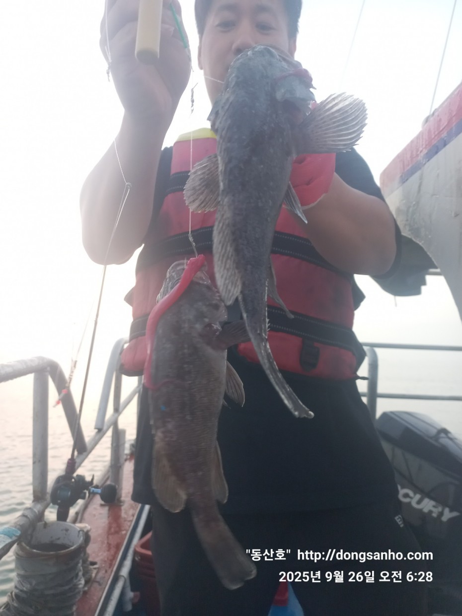 c4fa6805e9b5aed725fd6fd8634e3e5f_1758876