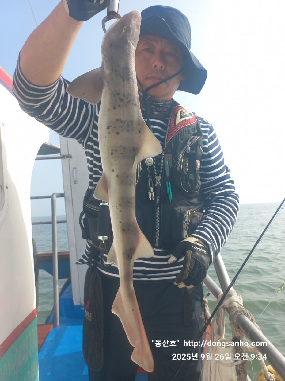 c4fa6805e9b5aed725fd6fd8634e3e5f_1758876