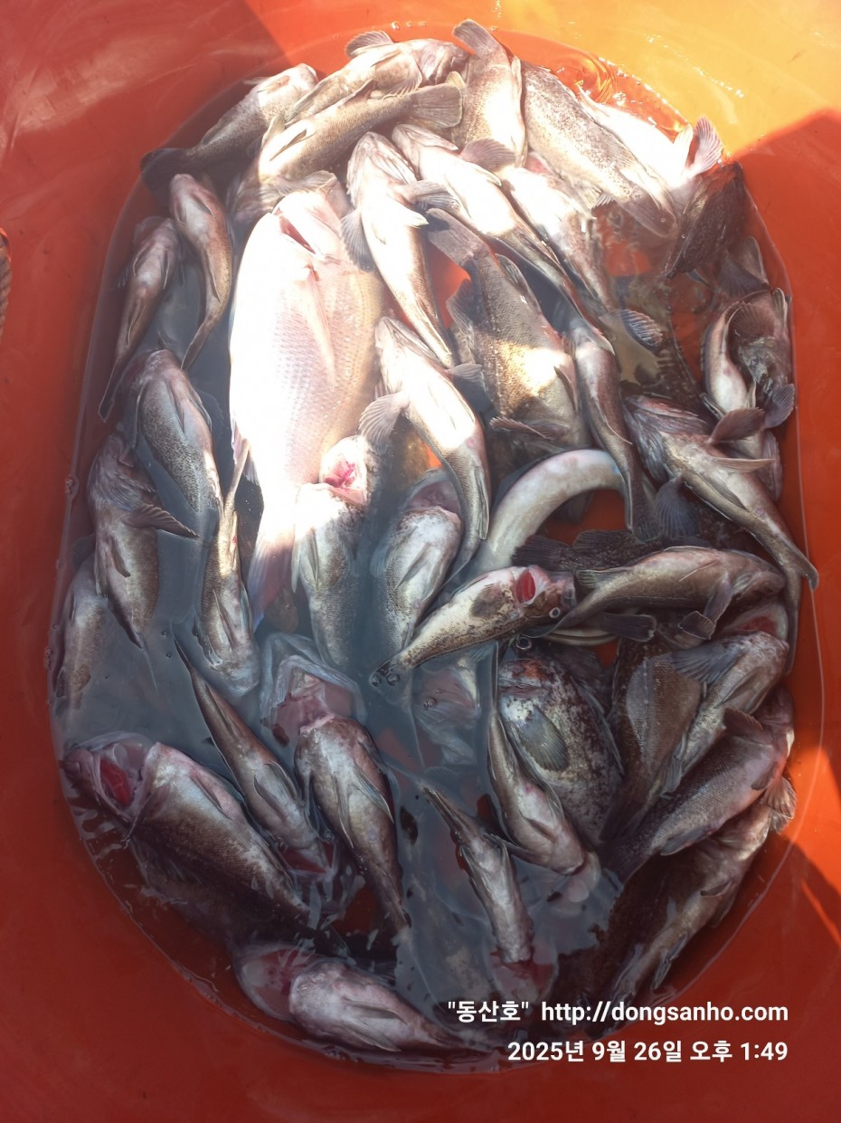 c4fa6805e9b5aed725fd6fd8634e3e5f_1758876