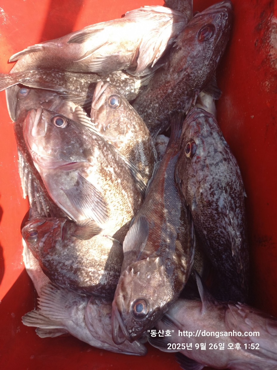 c4fa6805e9b5aed725fd6fd8634e3e5f_1758876