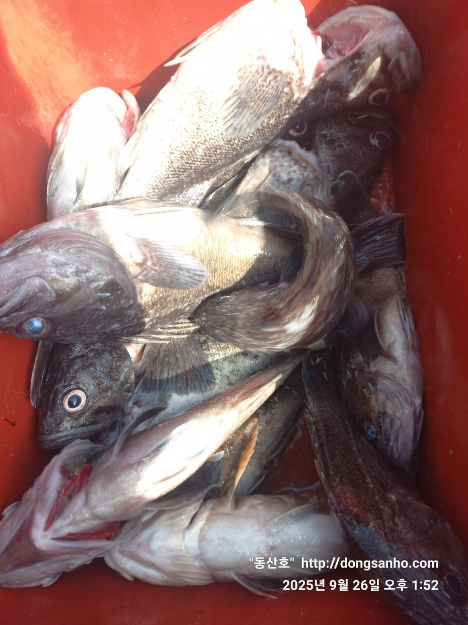 c4fa6805e9b5aed725fd6fd8634e3e5f_1758876