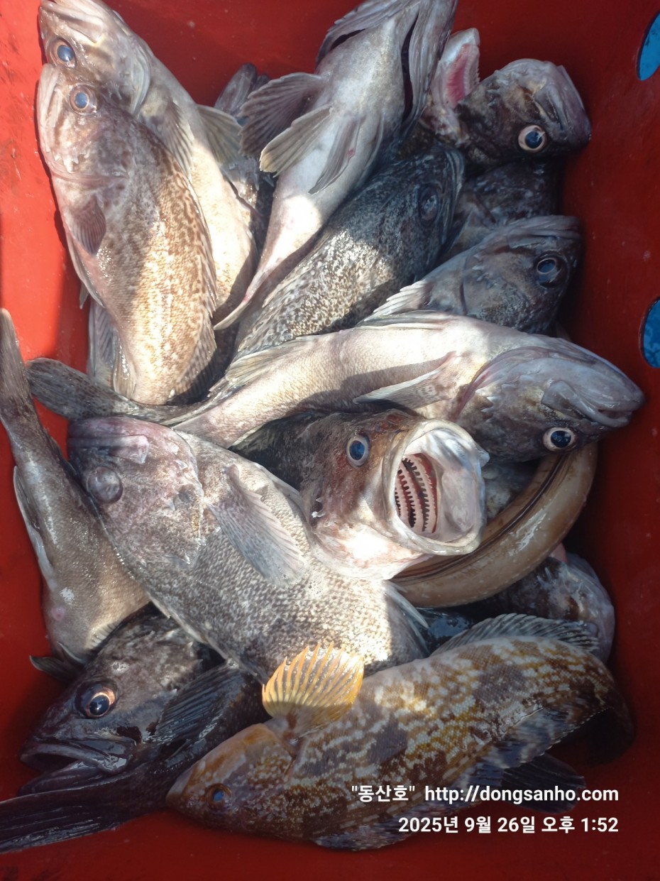 c4fa6805e9b5aed725fd6fd8634e3e5f_1758876