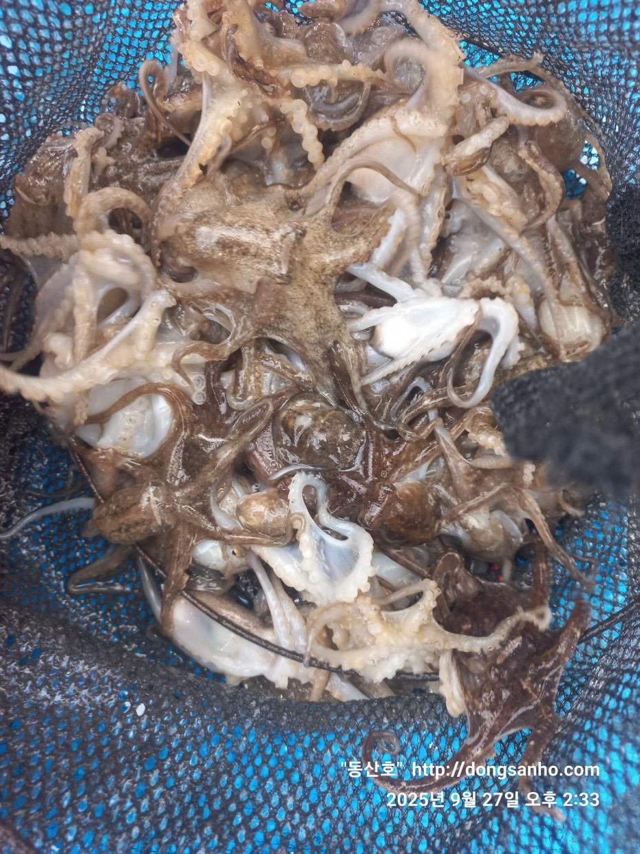 c4fa6805e9b5aed725fd6fd8634e3e5f_1758989