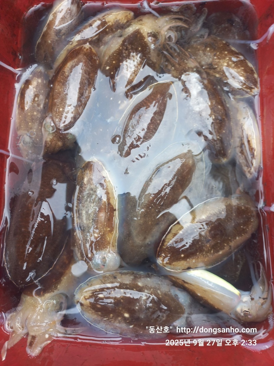 c4fa6805e9b5aed725fd6fd8634e3e5f_1758989