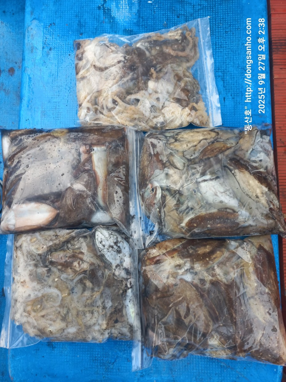 c4fa6805e9b5aed725fd6fd8634e3e5f_1758989