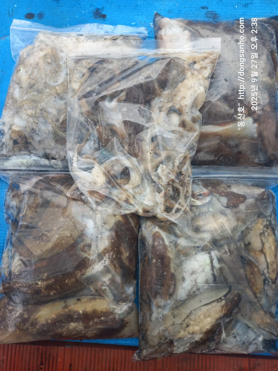 c4fa6805e9b5aed725fd6fd8634e3e5f_1758990