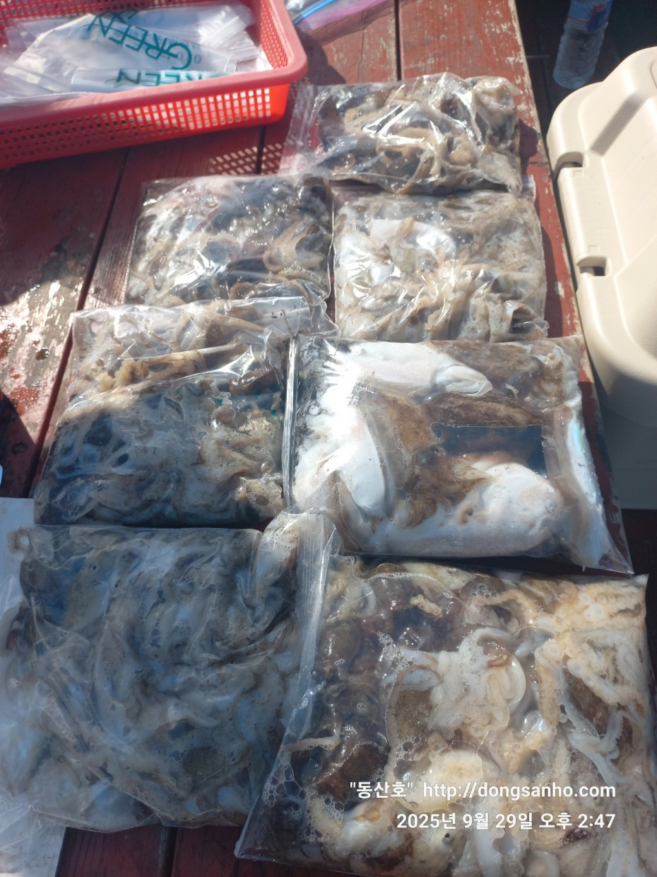 c98355429c2df5d57968f409b148c54f_1759161