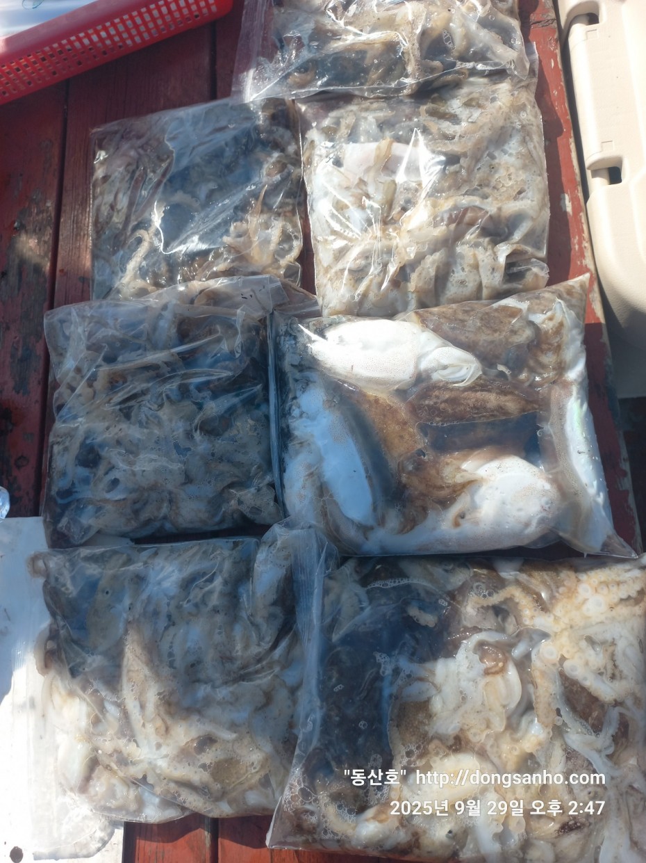 c98355429c2df5d57968f409b148c54f_1759161