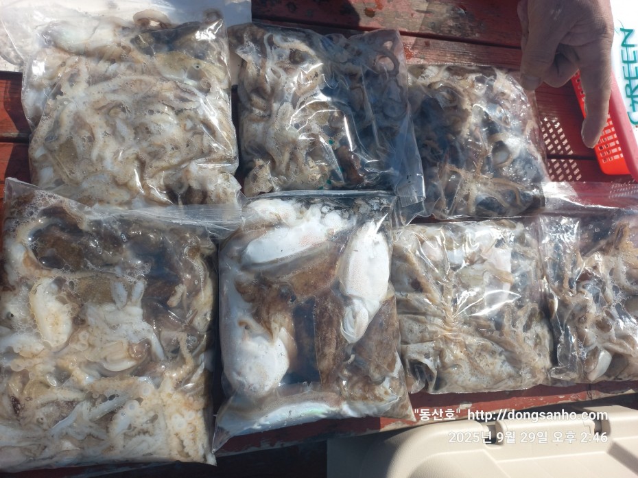 c98355429c2df5d57968f409b148c54f_1759162