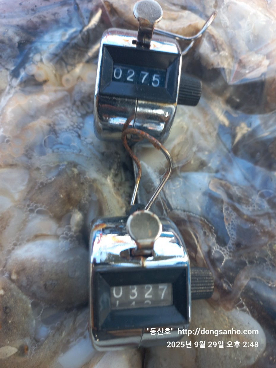 c98355429c2df5d57968f409b148c54f_1759162