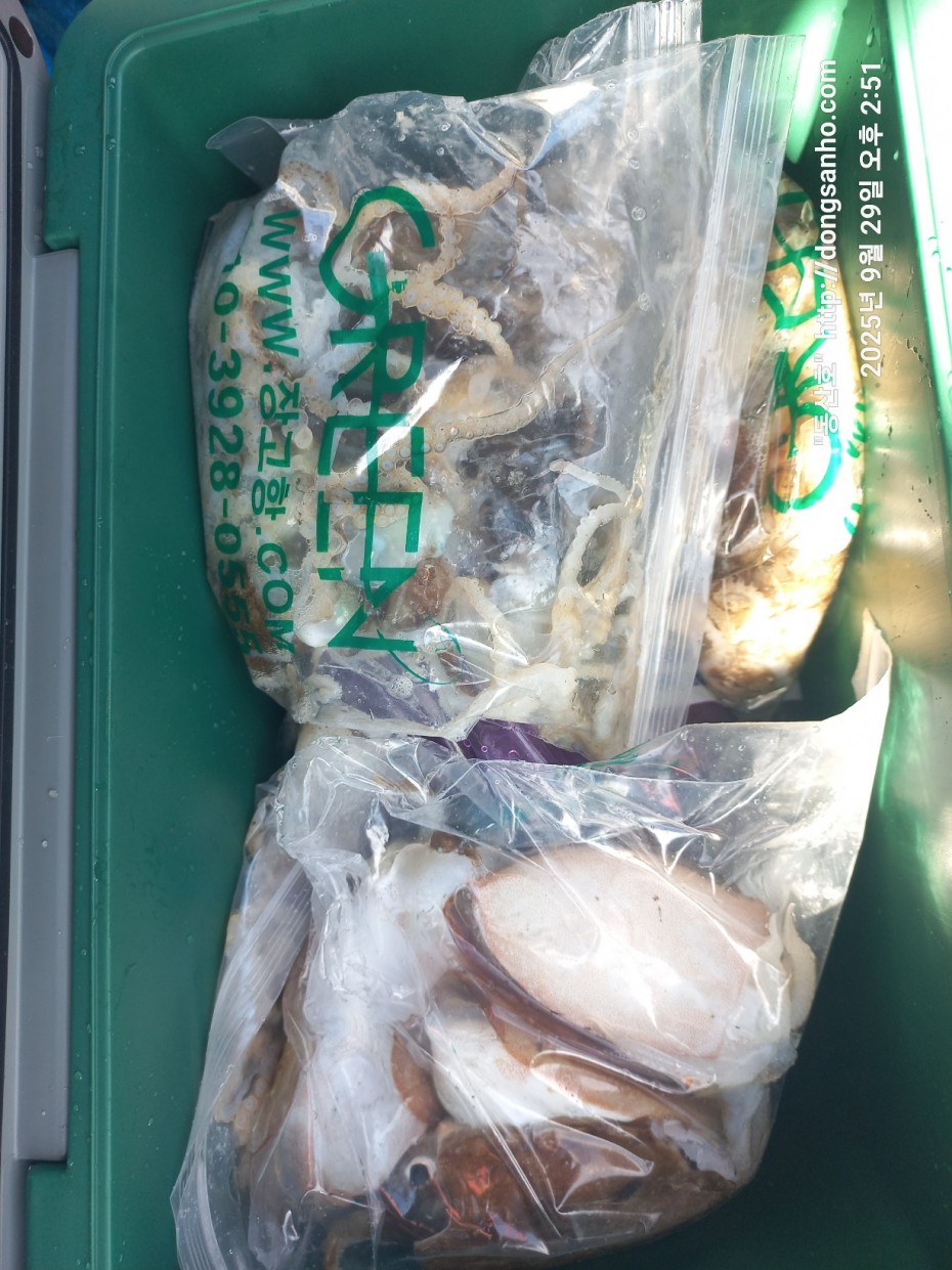 c98355429c2df5d57968f409b148c54f_1759162