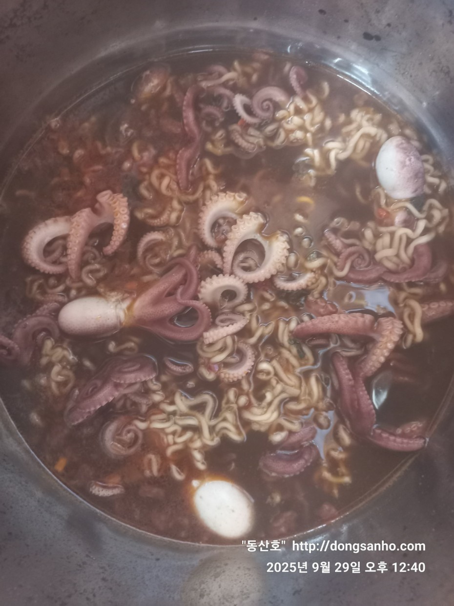 c98355429c2df5d57968f409b148c54f_1759162