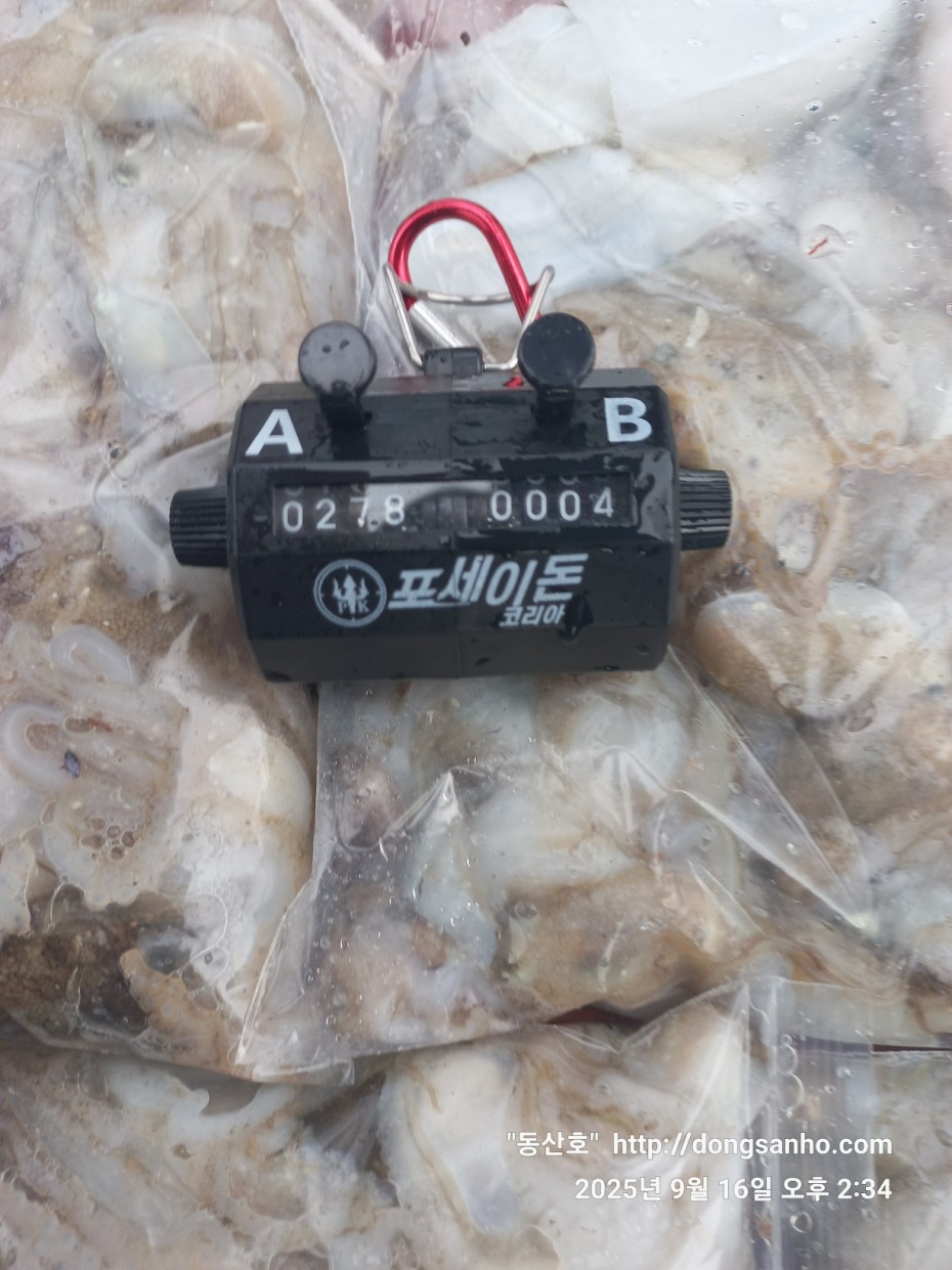 dbe057a58d0dee5777f60f04755a6f75_1758029