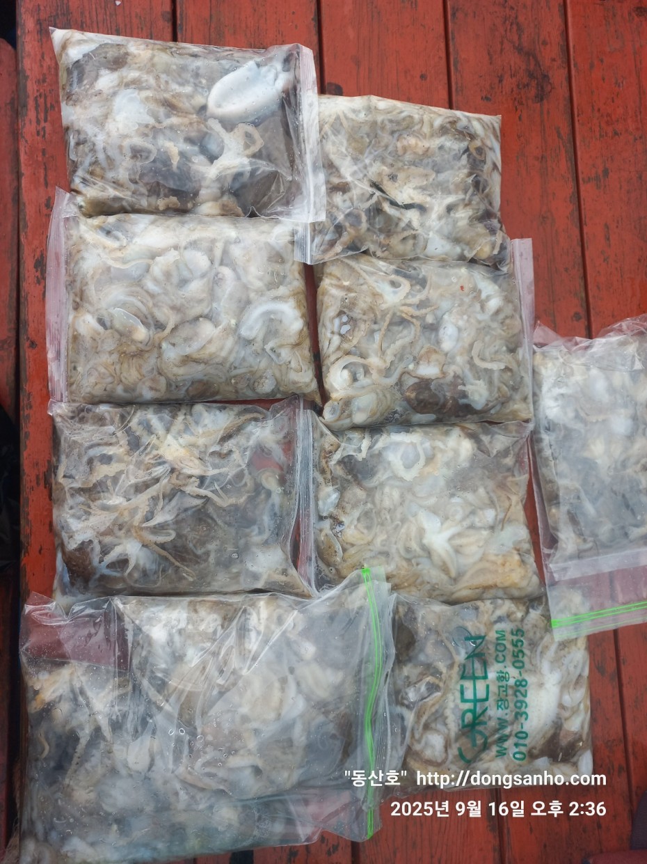 dbe057a58d0dee5777f60f04755a6f75_1758029