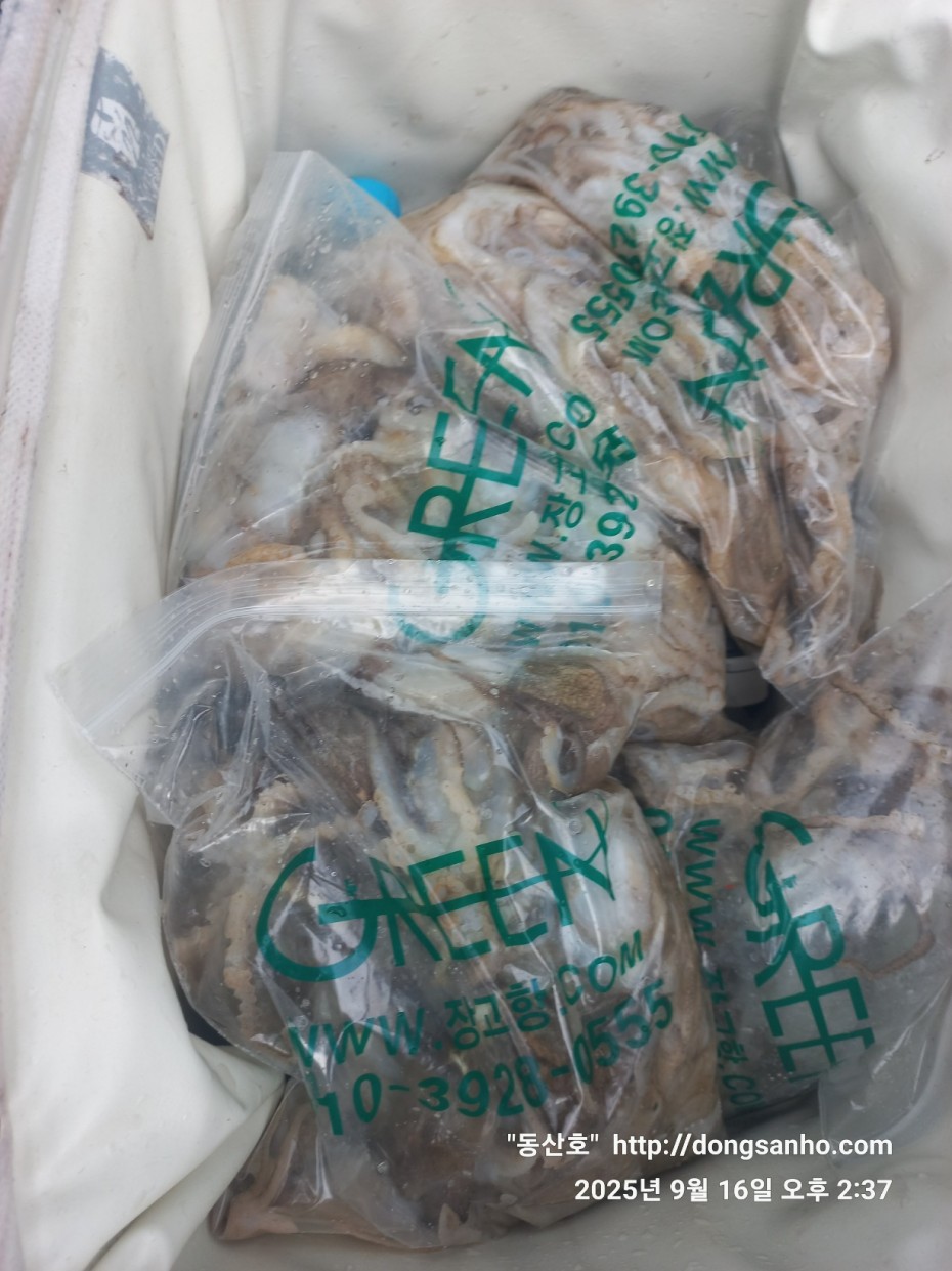 dbe057a58d0dee5777f60f04755a6f75_1758029