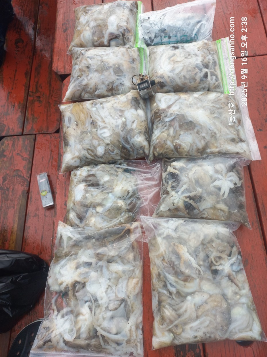 dbe057a58d0dee5777f60f04755a6f75_1758029