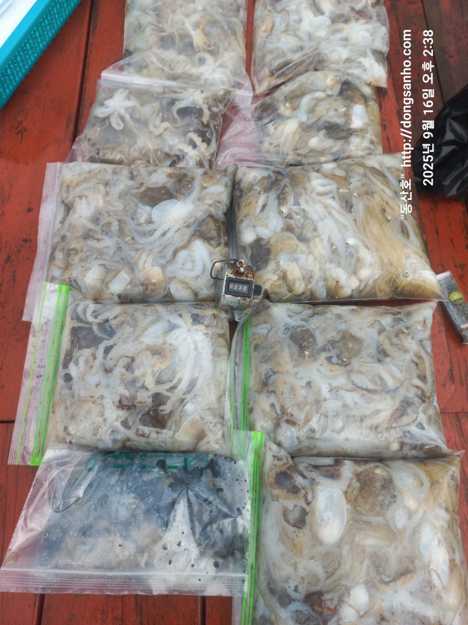 dbe057a58d0dee5777f60f04755a6f75_1758029