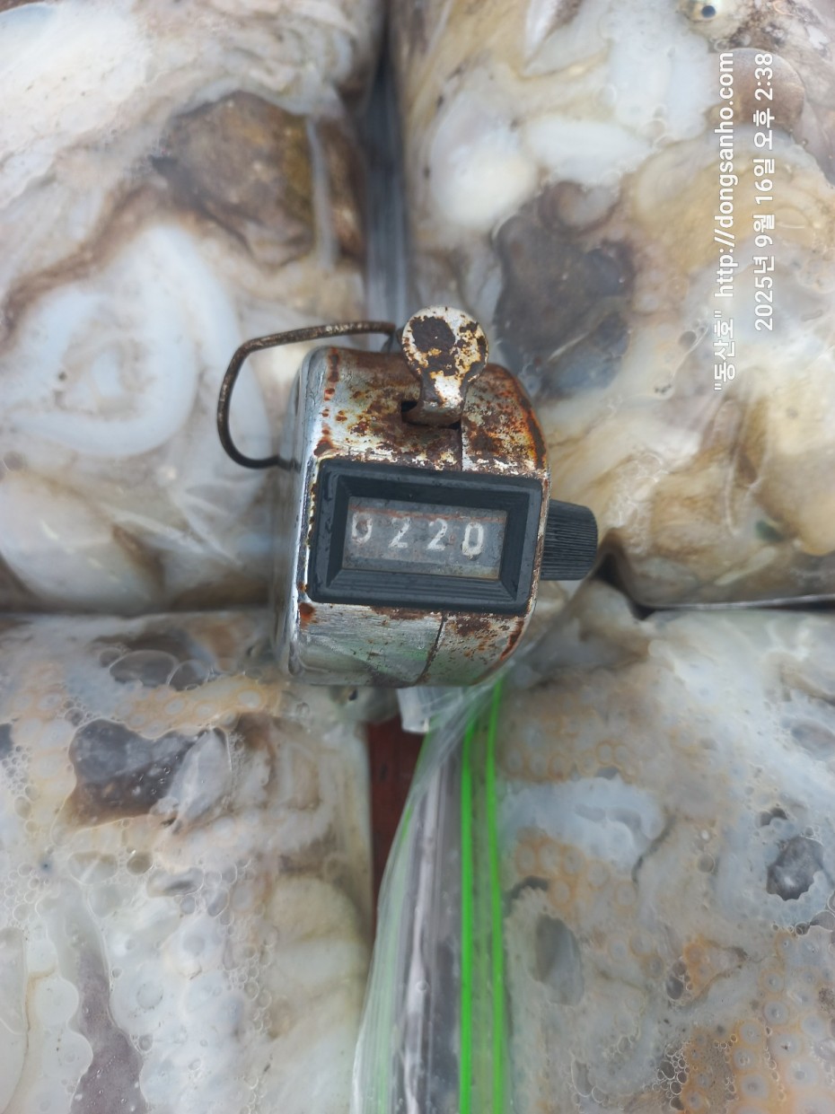 dbe057a58d0dee5777f60f04755a6f75_1758029