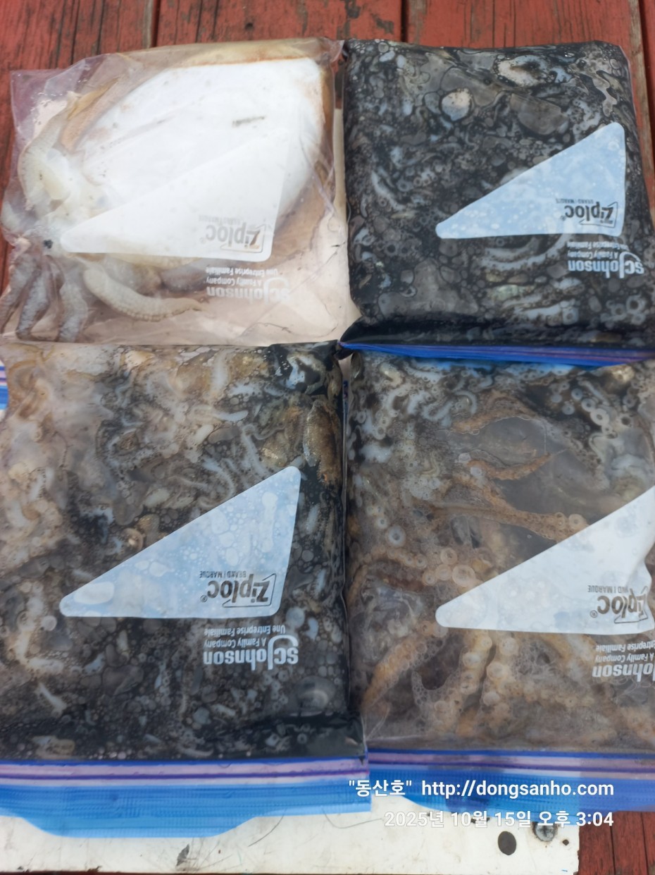 04c00e9b2c6f798cb8dad1cf2948356c_1760648