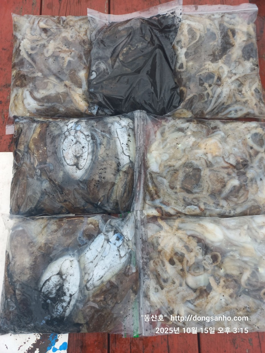 04c00e9b2c6f798cb8dad1cf2948356c_1760648