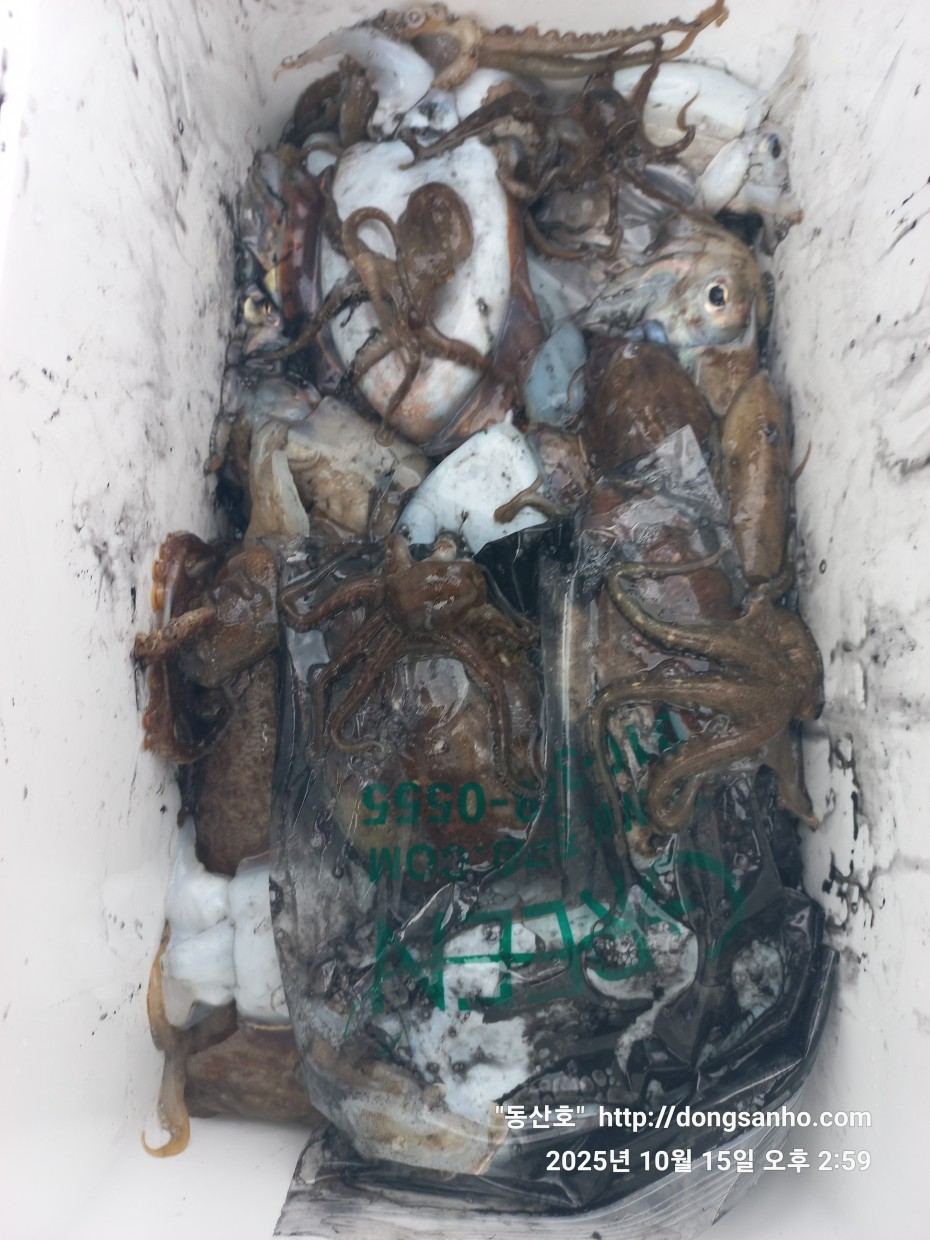 04c00e9b2c6f798cb8dad1cf2948356c_1760669