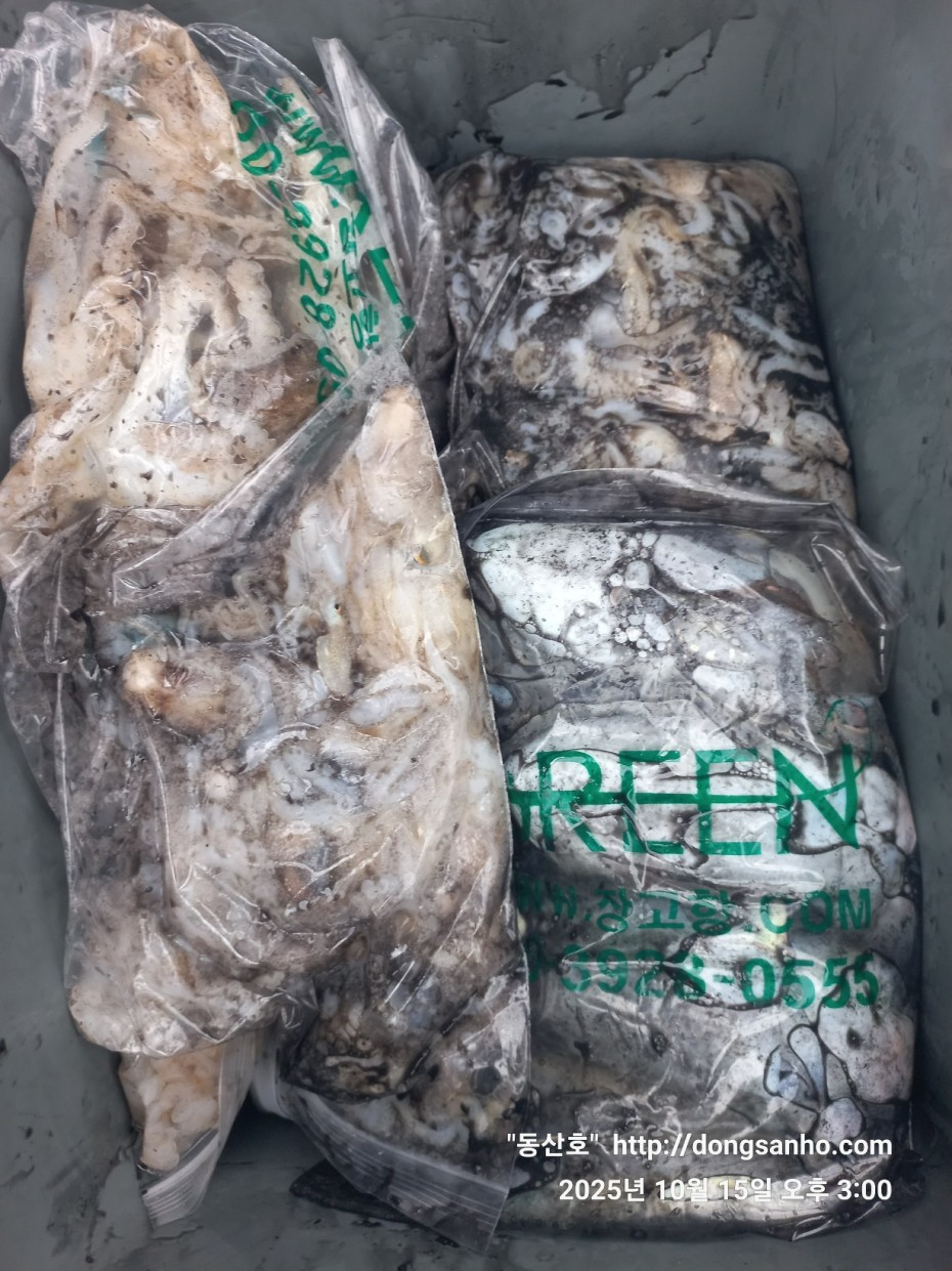 04c00e9b2c6f798cb8dad1cf2948356c_1760669