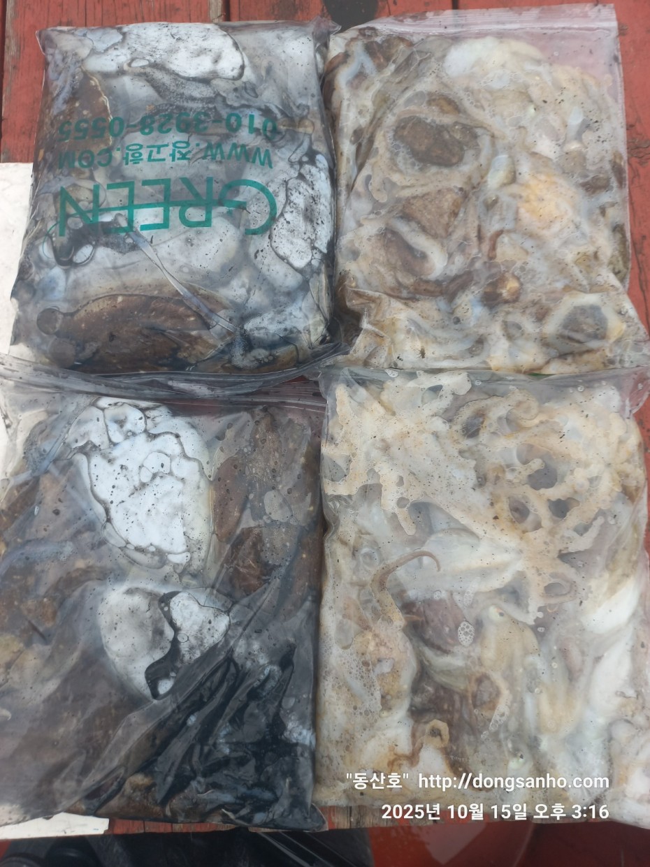 04c00e9b2c6f798cb8dad1cf2948356c_1760669