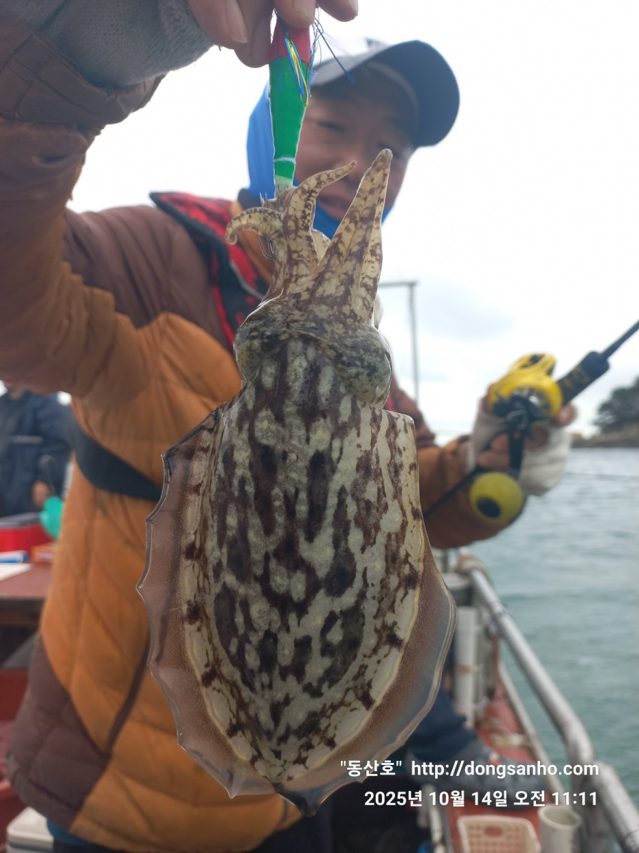 3e273efd9babdf84ab86b7782ac65167_1760545