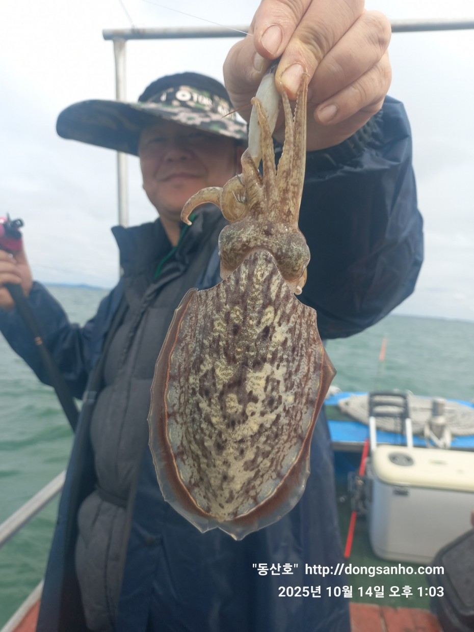 3e273efd9babdf84ab86b7782ac65167_1760545