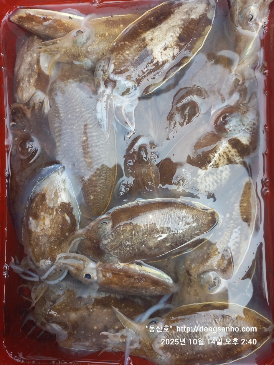 3e273efd9babdf84ab86b7782ac65167_1760545