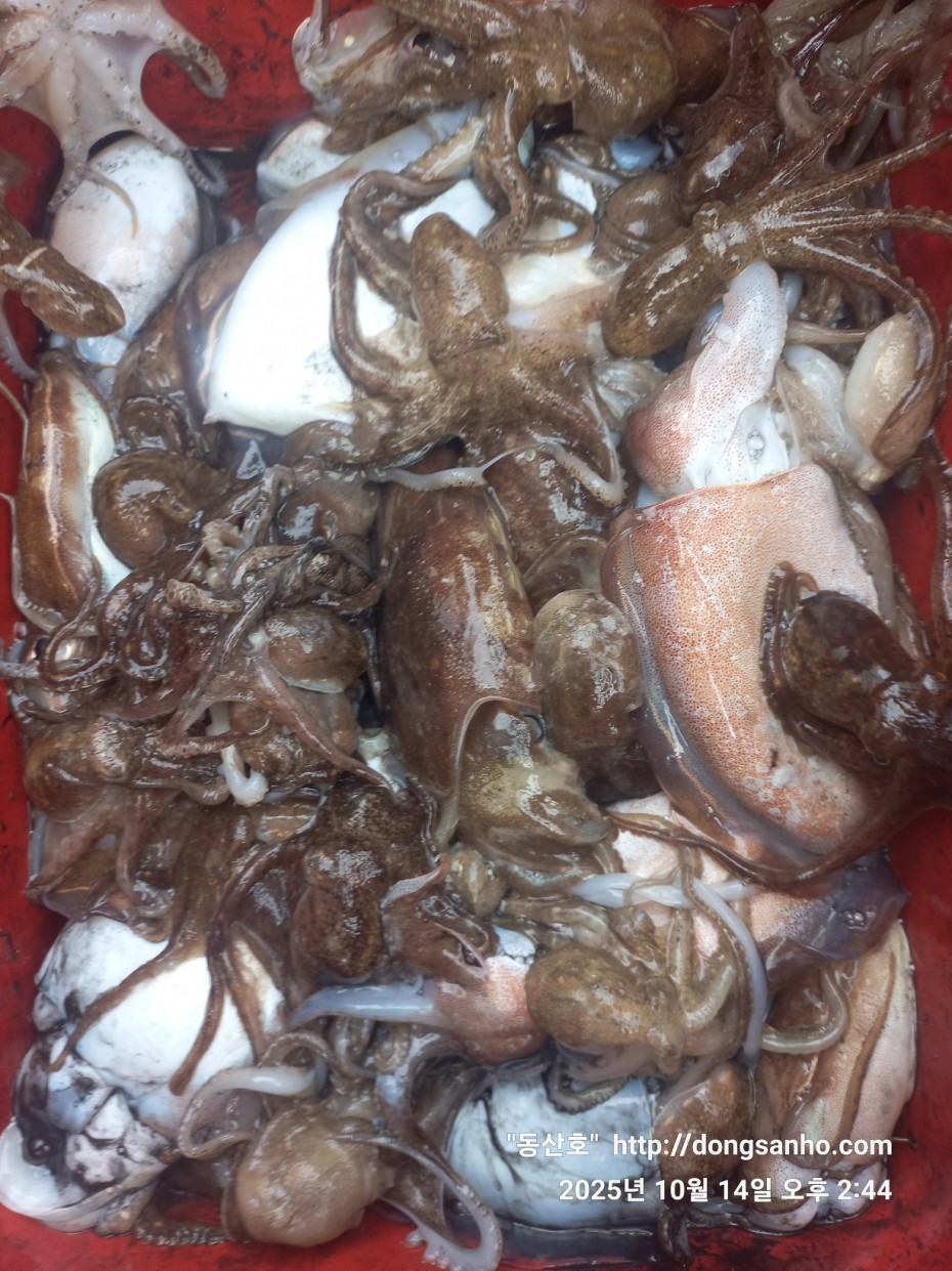 3e273efd9babdf84ab86b7782ac65167_1760546