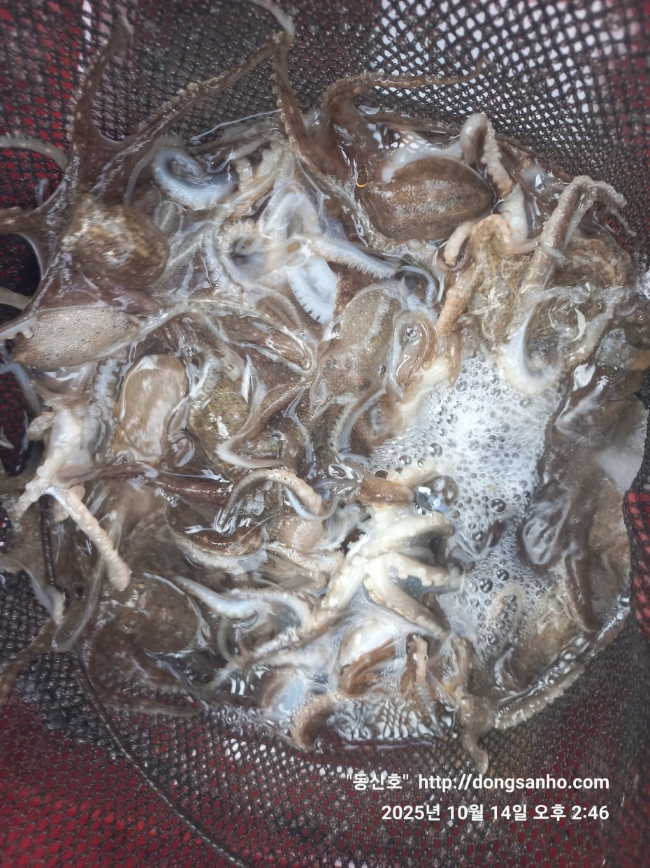 3e273efd9babdf84ab86b7782ac65167_1760546