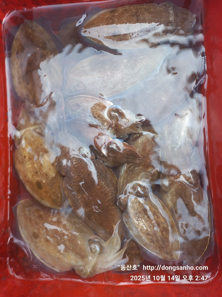 3e273efd9babdf84ab86b7782ac65167_1760546