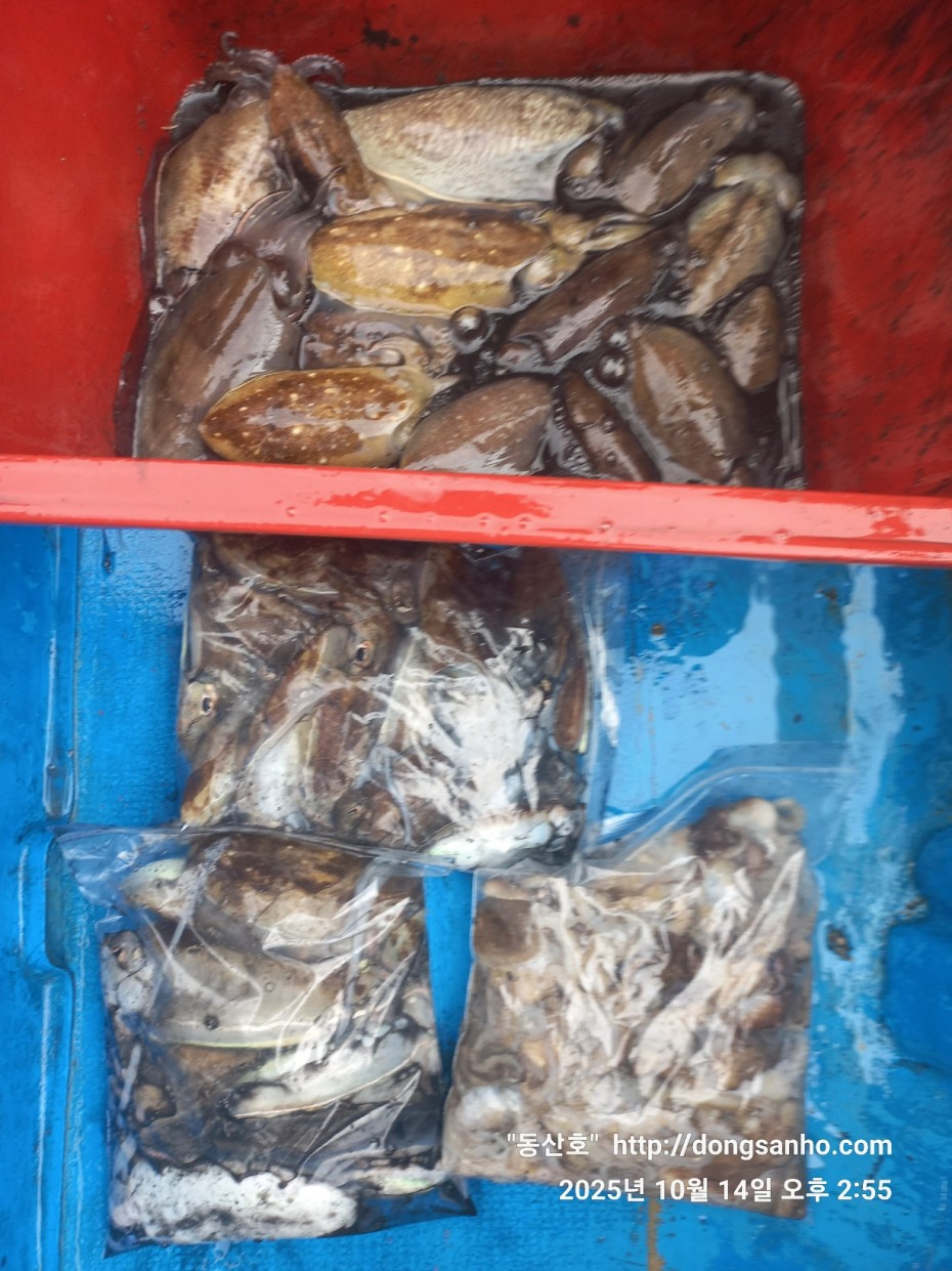 3e273efd9babdf84ab86b7782ac65167_1760546