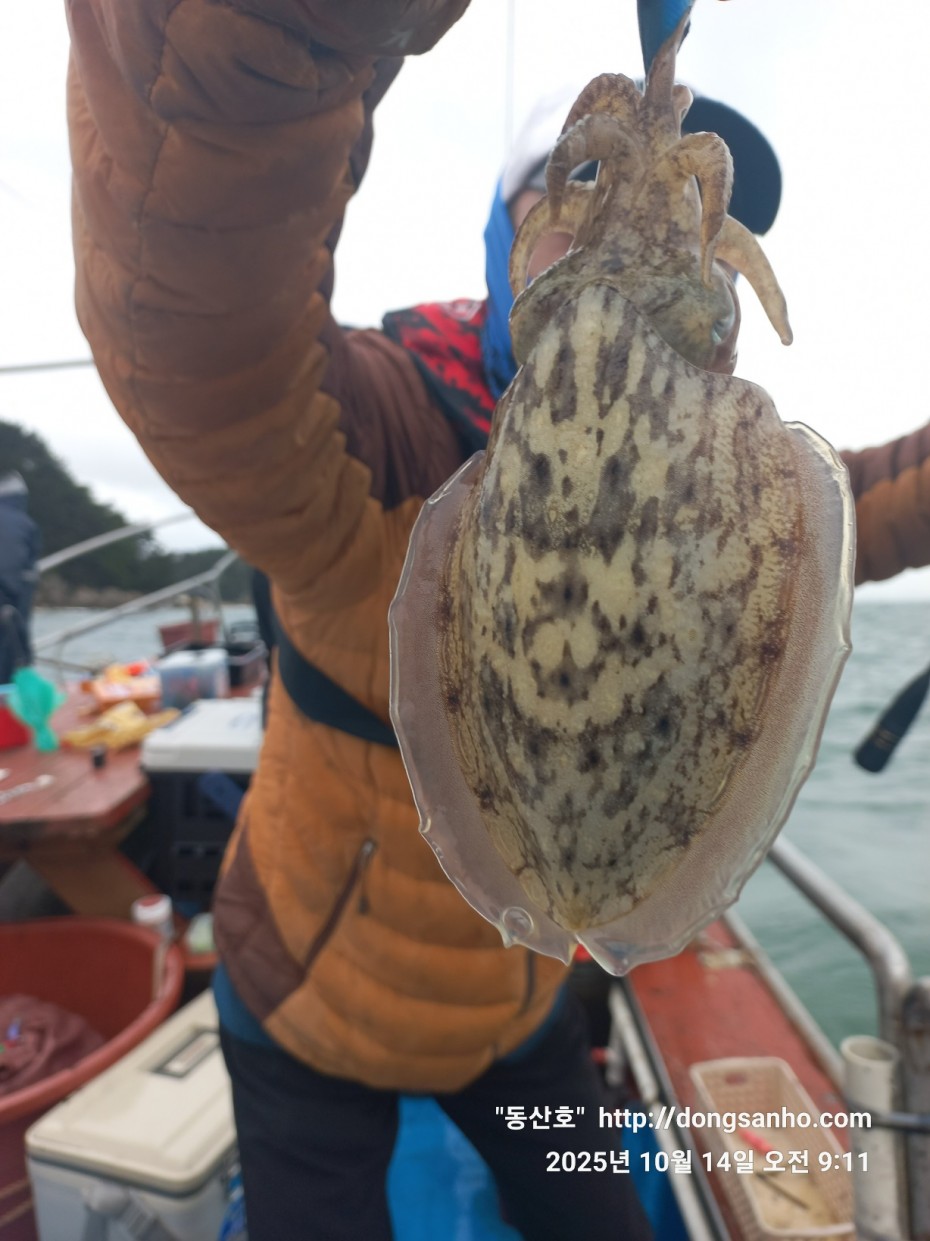 3e273efd9babdf84ab86b7782ac65167_1760547