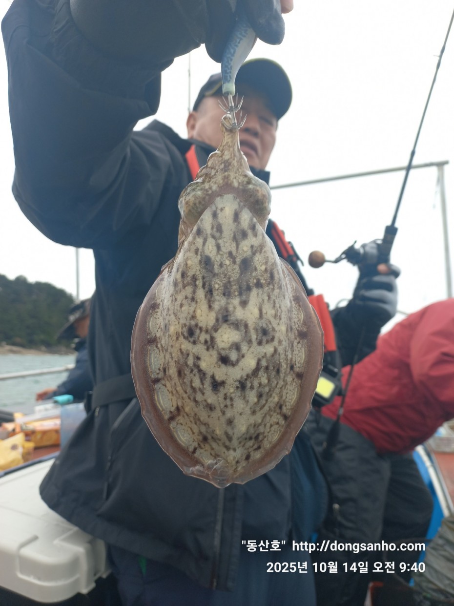 3e273efd9babdf84ab86b7782ac65167_1760547