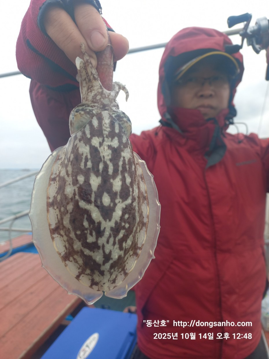 3e273efd9babdf84ab86b7782ac65167_1760547