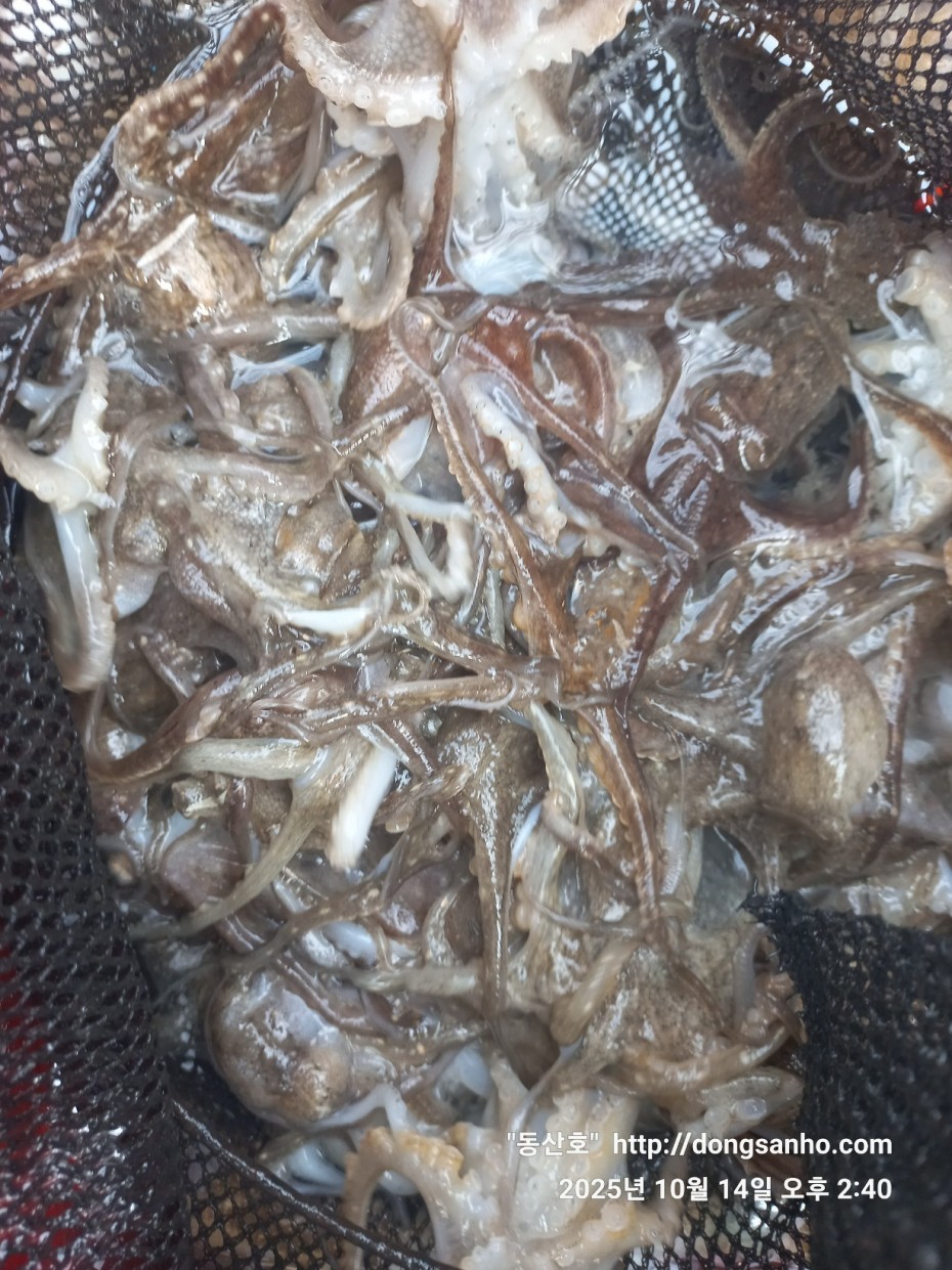 3e273efd9babdf84ab86b7782ac65167_1760547