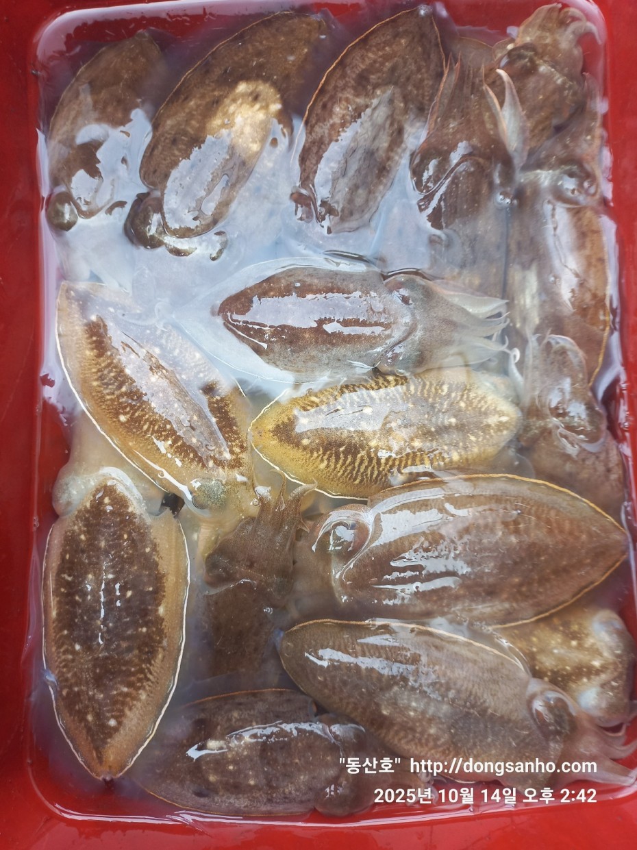 3e273efd9babdf84ab86b7782ac65167_1760547