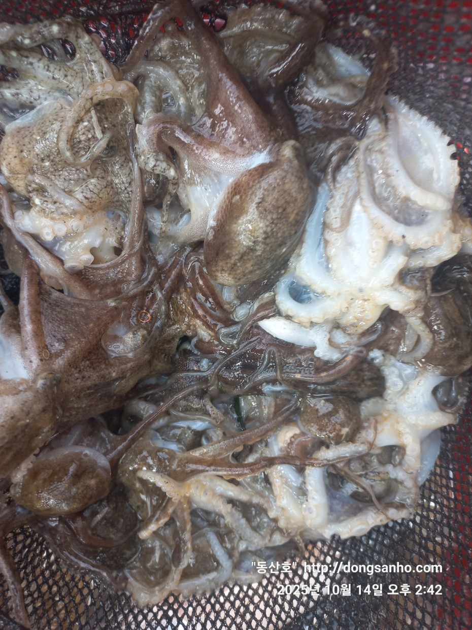 3e273efd9babdf84ab86b7782ac65167_1760547