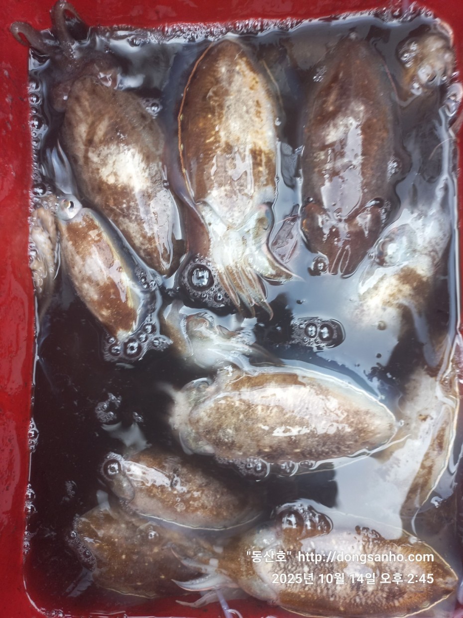 3e273efd9babdf84ab86b7782ac65167_1760547