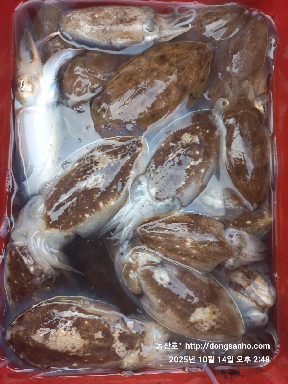 3e273efd9babdf84ab86b7782ac65167_1760547