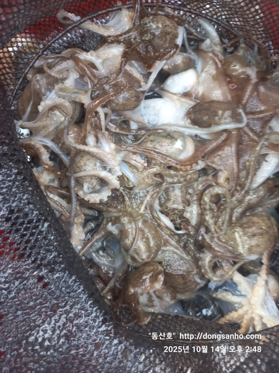 3e273efd9babdf84ab86b7782ac65167_1760547